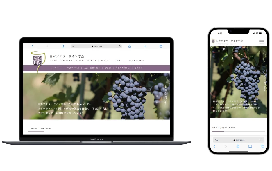 株式会社ネクストビジョン NEXTVISION 制作実績